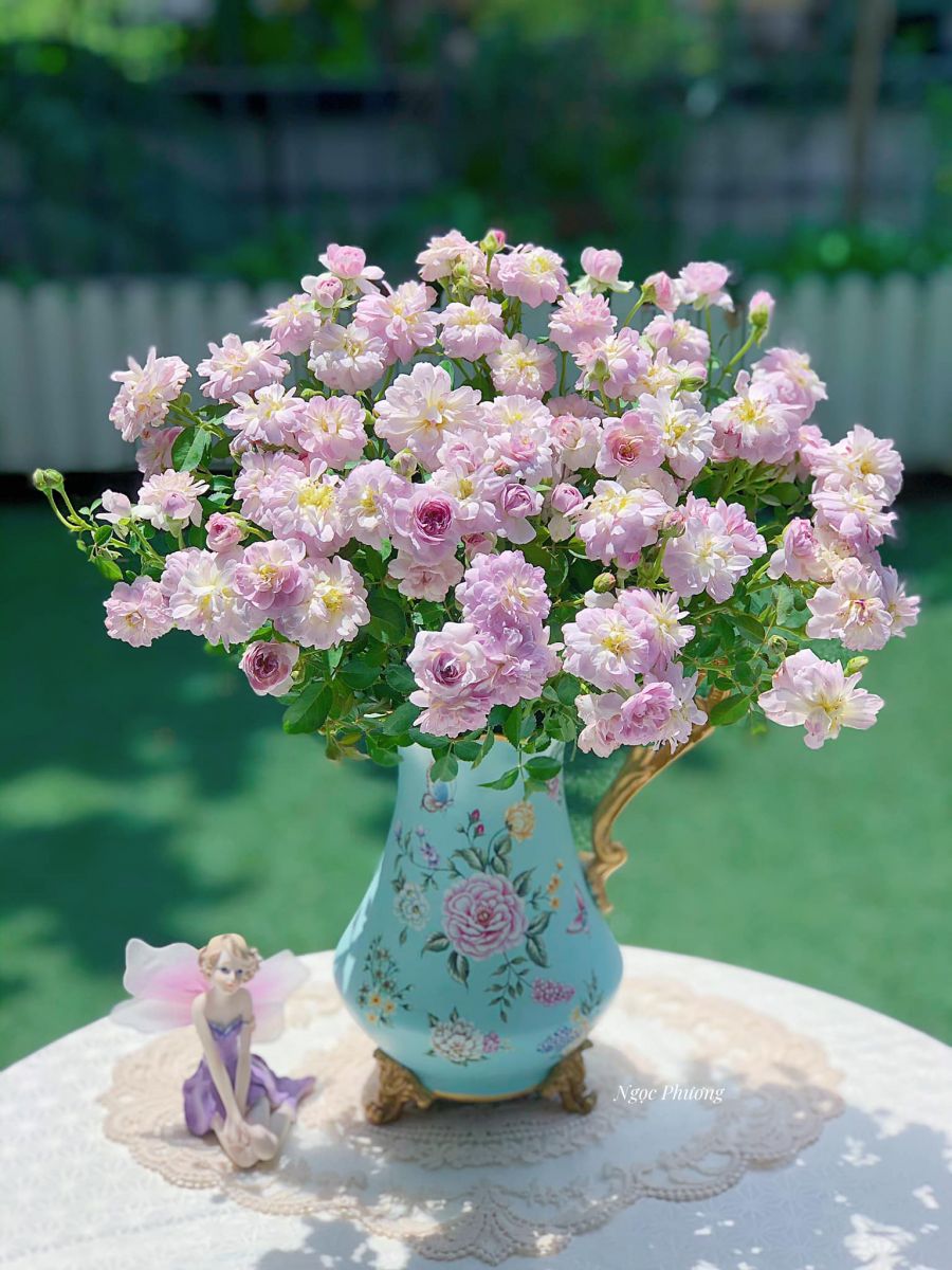 Tử vi ngày 4/8/2022 của 12 cung hoàng đạo